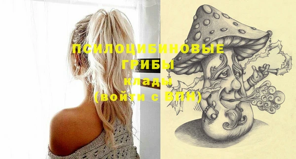 молекула духа Верхний Тагил